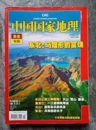 网络配置 外网连接异常：服务器可以访问外网但无法识别外部网卡的原因分析