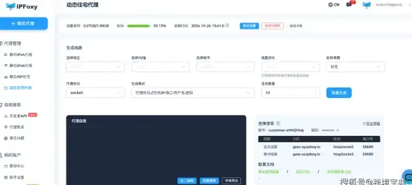必读｜国际服VPS加速全攻略 实用技巧与安全预警【游戏速通指南】