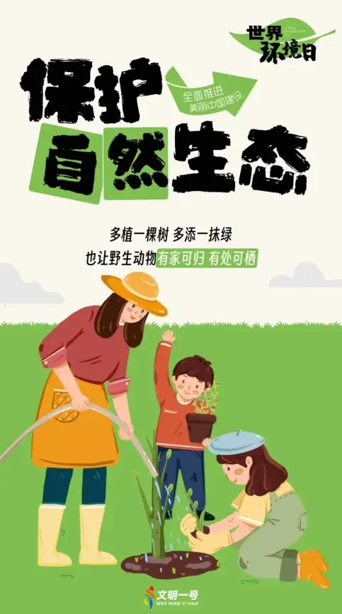 多系统壁纸换新技巧 网吧服务器操作指南【流程揭秘】全流程详细步骤详解