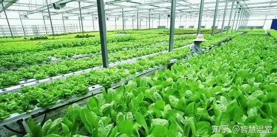 角色🔥权威测评🔥热血对战 坎公骑冠剑公测节奏榜战力全解析