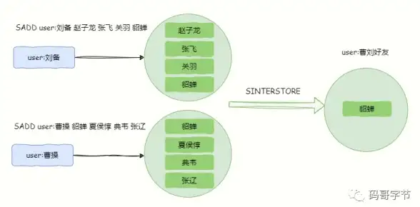 🔥狙击拍摄密招 就我眼神好》王妈开车拍摄技巧全解析，轻松拍出惊艳照片