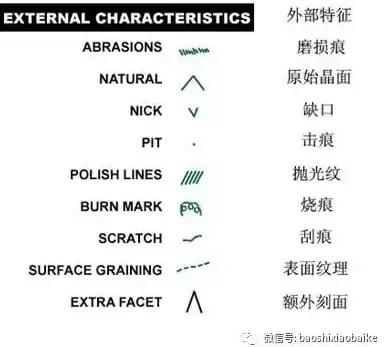 策略·必看·高能丨《少女前线：云图计划》扬尼技能全面升级攻略及最佳搭配推荐