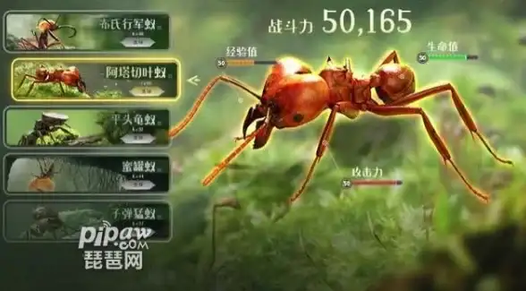 云计算,网络延迟-鸿梦云挂机宝枣庄电信机房网络延迟分析