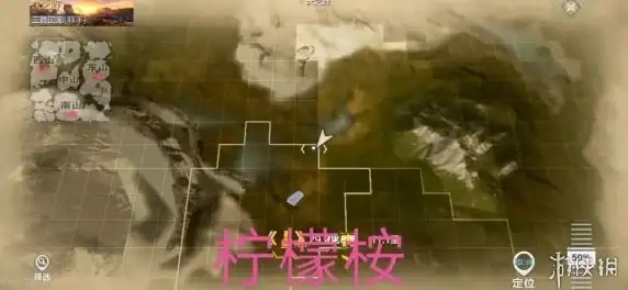 超值优惠🔥年度冰点价：VPS仅99元/年，原生IP，流量不限量
