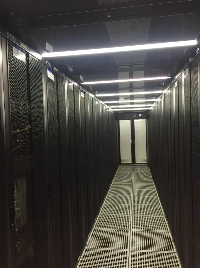盘点｜新手入门服务器抓鸡实用技巧揭秘 网络安全必看【实用攻略】