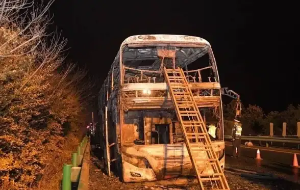 限时技巧爆料｜网盘提速黑科技大揭秘—百度网盘直链提速实用指南与风险提示】
