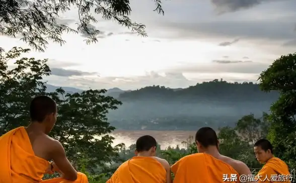 VPS测评🚀速度对比｜RackNerd多伦多服务器国内访问体验与网络线路分析