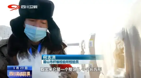 关联推荐｜提速土豆服务器的日本VPS优选攻略 云计算指南✦极速体验盘点