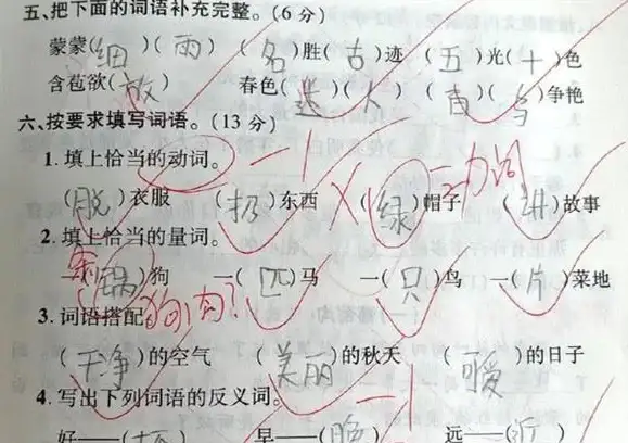 CDN,多节点-棉花云结合PCCW打造新加坡多节点CDN