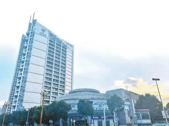 热血江湖七龙与龙图阵营活跃度对比分析