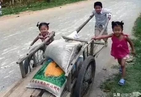 CDN市场分析,河池地区-鹏博士河池CDN业务的市场占有率分析