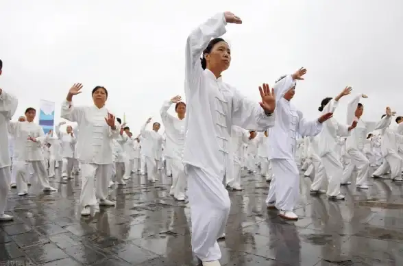 菲律宾IP推荐｜莱卡云VPS深度测评，原生IP解决方案全面解析