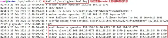 内行必看｜全新云端CMS极速安装指南—详解最新版完整流程与避坑重点！内容管理】