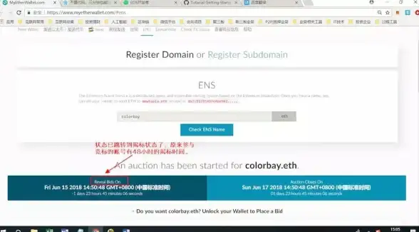 聚焦竞标高分策略｜深扒独家视角｜域名拍卖策略】解读过期域名查询结果对竞标决策的关键影响