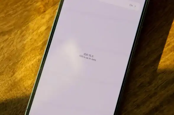 数据安全 漏洞防护 数据库漏洞修复软件，全面保障数据库安全，提升数据防护能力