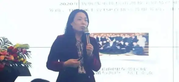 德国IP住宅VDS🔥畅享德国电商、游戏与流媒体无限可能