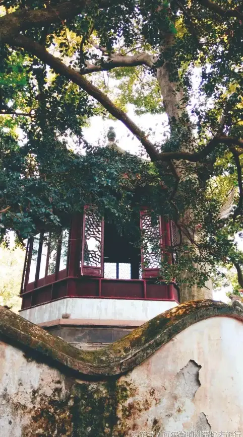 解密｜魔力宝贝运维秘籍┃服务器维护核心要诀揭秘（实用提醒全覆盖）