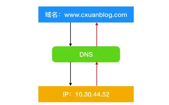 策略秘籍◆顶级阵容◆必学技巧丨世界启元克利欧最佳阵容搭配及战术详解