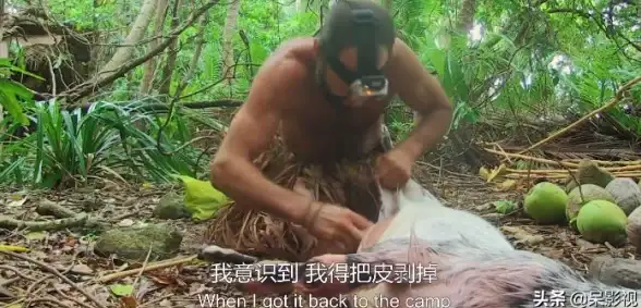 游戏攻略🔥神仙道青木结界全面升级技巧与实用建议