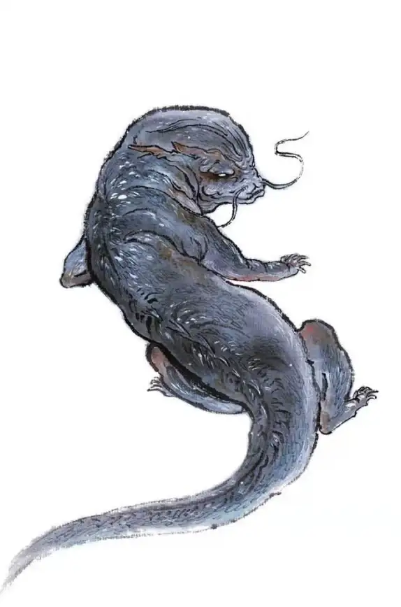 奇幻🧜长寿探秘 千年百年寿命有何区别，妄想山海人鱼真能长养吗？