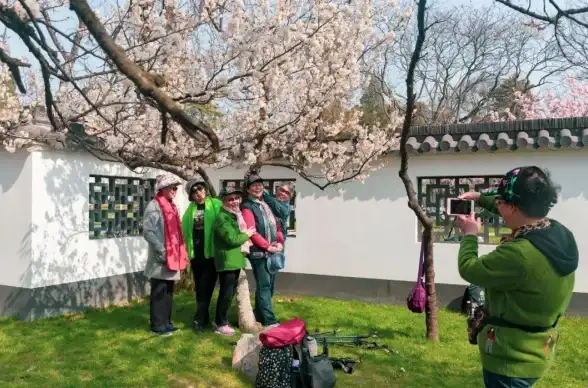 【实战指南】安全护航·日本樱花云服务器漏洞修复技巧 漏洞防护专栏