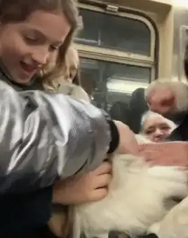 影视迷导航｜主流RMVB电影抢先看技巧指南 影视资源精选】独家下载全攻略提醒