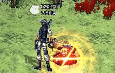 宠物养成◆热门推荐◆实战测评｜弹弹堂顶级宠物排名全解析