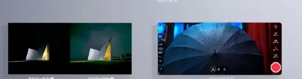 烟雨江湖20级刷野效率提升技巧与实战指南