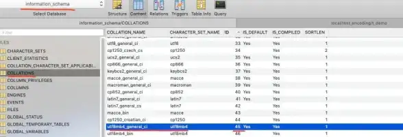字符集设置 编码优化 MySQL数据库中文字符编码问题解决与应对方案