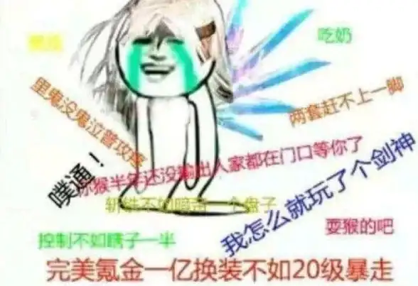 震撼揭秘 云服务器提效秘籍 云环境·土豆服务器优化全攻略】云计算行业必看