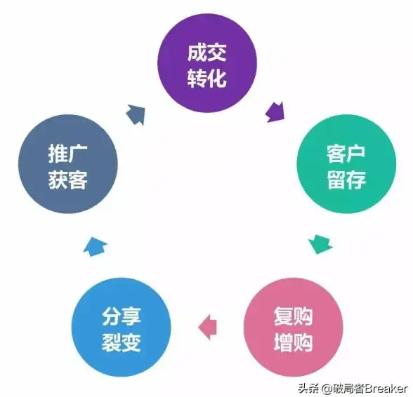 数据库设计 数据结构 和逻辑模型，数据库的数据模型分为组织模型