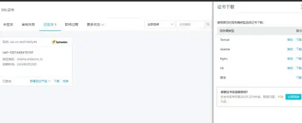 免费建站必看｜新手必备—二级域名领取指南】轻松获取免费二级域名，实用操作全解析