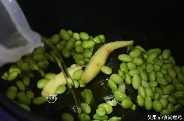 超详细辐射4发光海带加成效果解读＋最佳队友情感互动秘诀