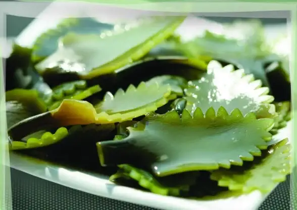 超详细辐射4发光海带加成效果解读＋最佳队友情感互动秘诀