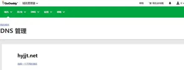 必备操作｜新手必看！GoDaddy域名DNS解析全流程—注册后设置指南】