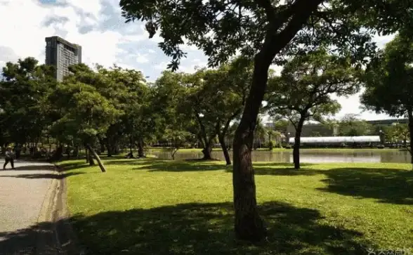 开发工具 服务器搭建 php本地环境—PHP本地环境中心