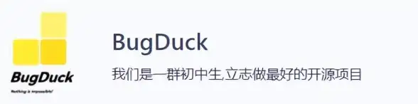 隐私保护🛡猎豹安全浏览器隐私防护全攻略：轻松守护你的上网安全
