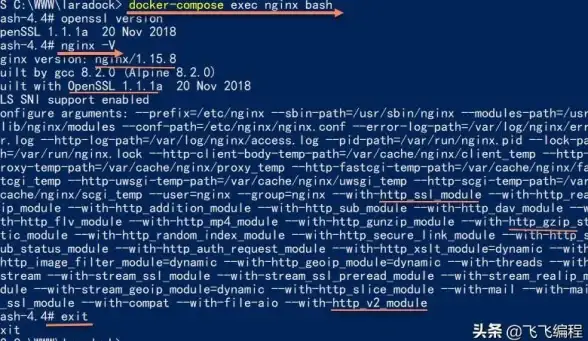 MySQL管理 Docker运维 轻松通过Docker进入MySQL数据库