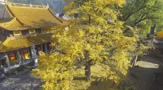 【攻略丨实用秘籍】王者荣耀地图功能全解析，小地图右侧轻松开启技巧！