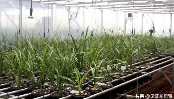 数据安全洞见 IM286防护革新亮点 合规新提醒｜助力企业安枕无忧！安全升级】