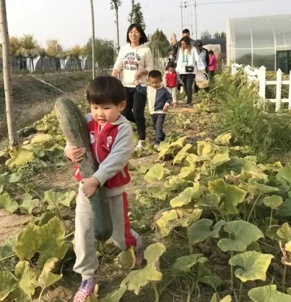 【农场攻略】DLC推荐】超实用】模拟人生4农场玩法全解析，助你打造梦幻田园！