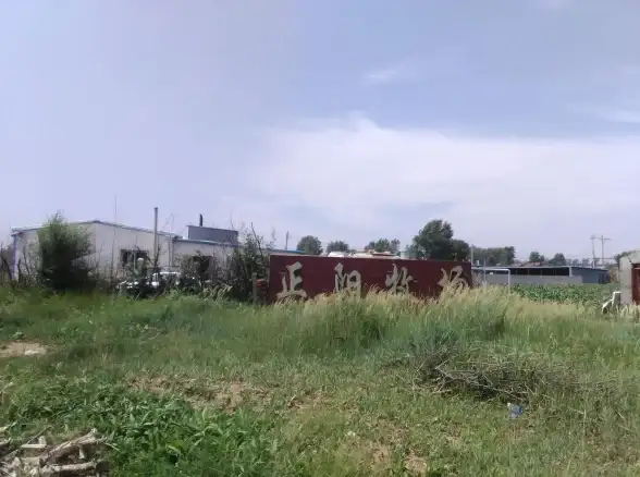 【农场攻略】DLC推荐】超实用】模拟人生4农场玩法全解析，助你打造梦幻田园！