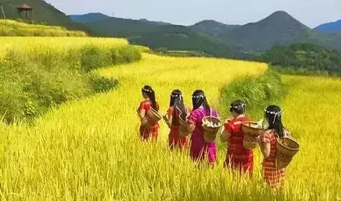 【农场攻略】DLC推荐】超实用】模拟人生4农场玩法全解析，助你打造梦幻田园！