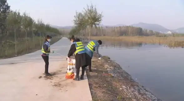 数据库管理 路径优化：探究与优化数据库默认路径及其定义