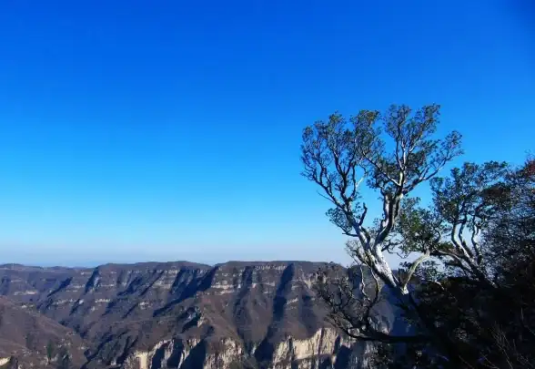 重磅揭秘！越来越黑暗商人属性飞升攻略详解【属性提升◆深度解析◆实用搭配】
