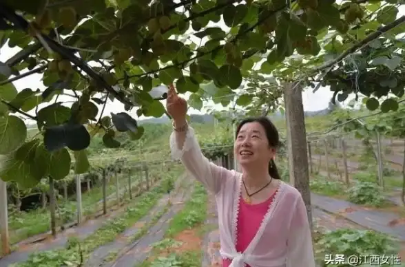融合绿色理念｜优豆种植新技术的生态守护之路【环保探索】