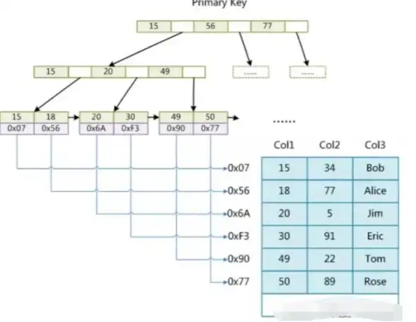 数据库管理 数据存储 使用mysql，MySQL数据库应用指南