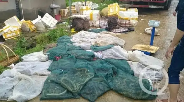 企业邮箱助手┃163邮箱自动回复高效设置技巧说明—企业邮箱注册与自动回复配置教程