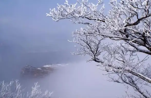 冰雪奇境大冒险丨我的世界ICE服务器全景探索实录—冰封世界探险指南