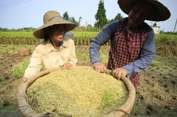 ✦游戏攻略✦隐藏奖励✦必看《星露谷物语》老鼠肆虐任务深度解析! ✦游戏攻略✦隐藏奖励✦必看《星露谷物语》老鼠肆虐任务深度解析!